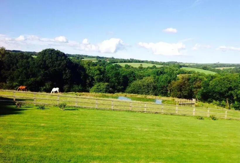 Fernside Bed And Breakfast