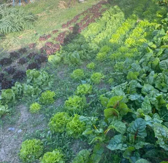 Hotelli Agriturismo A Ca Du Cappellan
