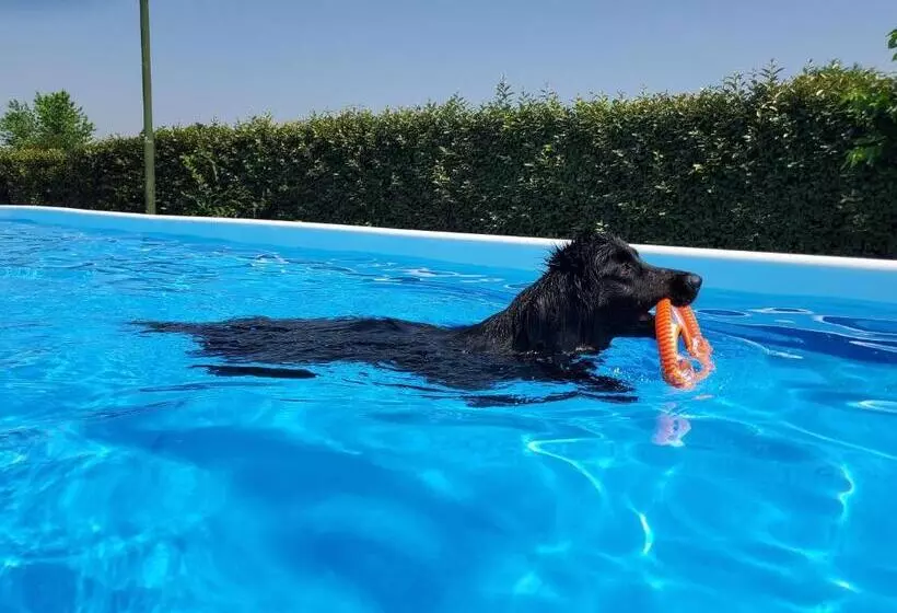 ホテル Agriturismo Delizia D'este