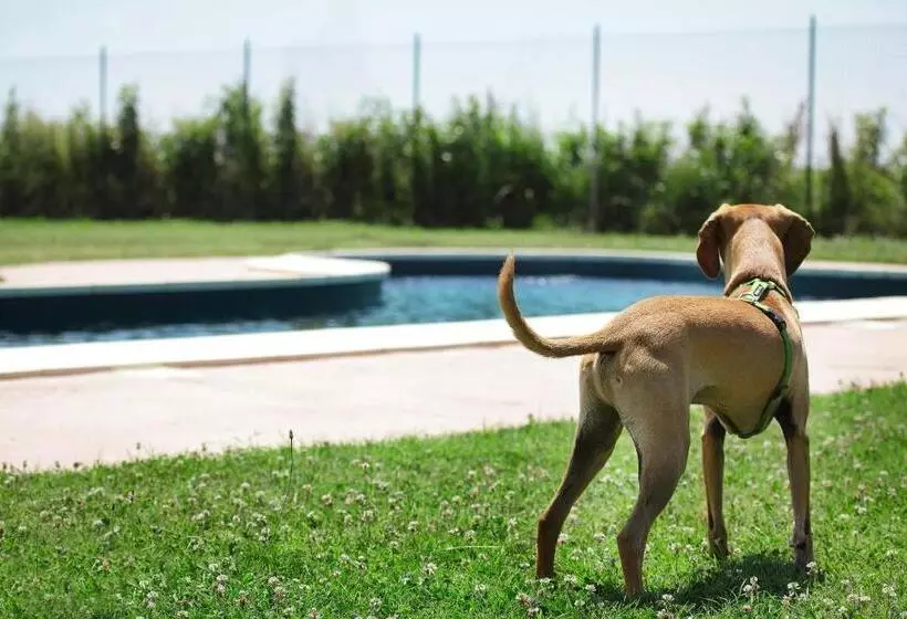 ホテル Agriturismo Delizia D'este