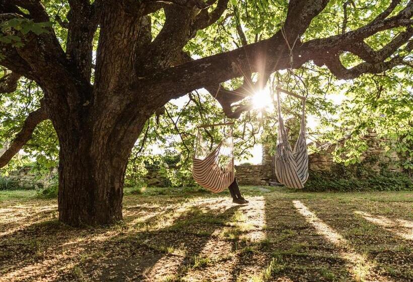 בית מלון כפרי Burg Bernstein