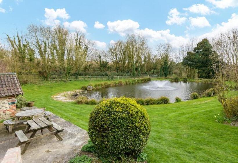 Отель Luccombe Farm Holiday Cottages