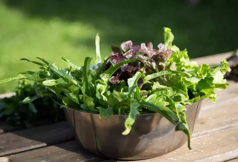 ホテル Mayer   Wirtshaus Und Dorf