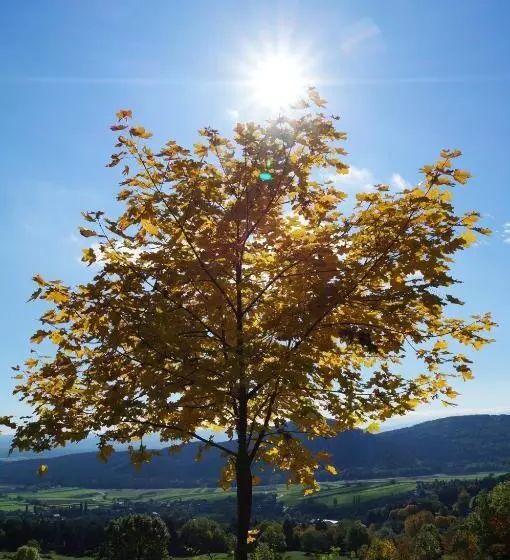 Majatalo Haus Bergblick
