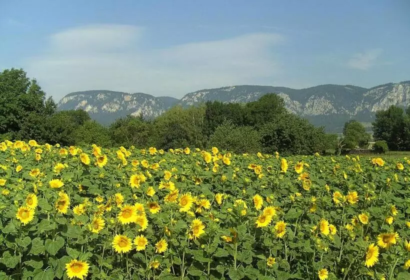 Majatalo Haus Bergblick
