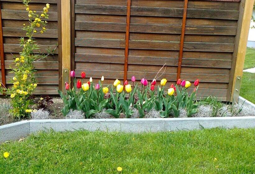 膳宿费 Haus Bergblick