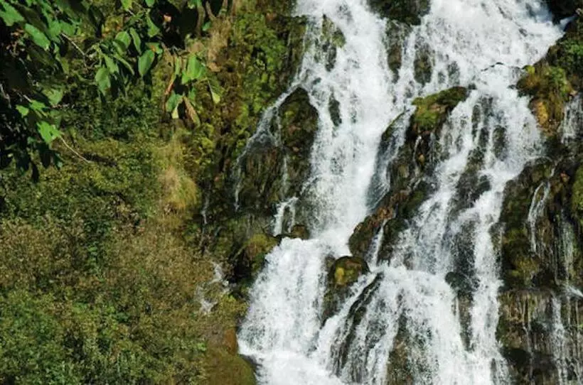 ペンション Piccolo Fiore