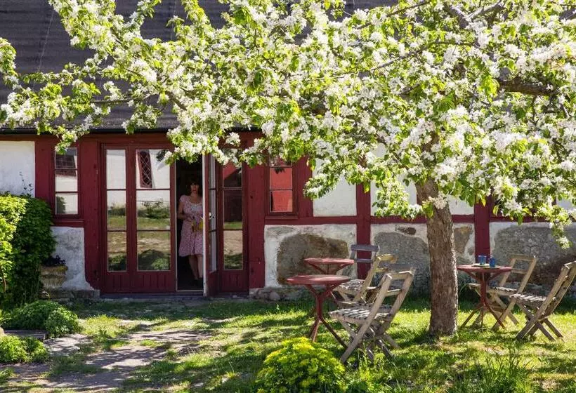 ペンション Stf Brantevik Råkulle Hostel