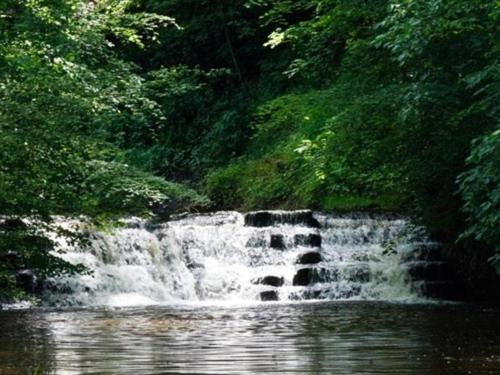 بنسيون Woodlands Farm