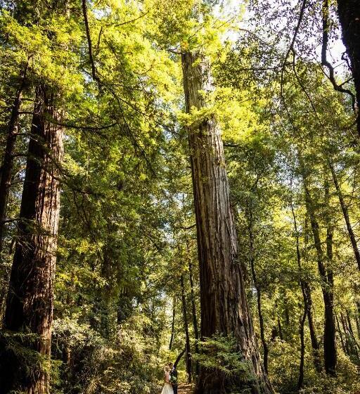 Redwoods River Resort & Campground