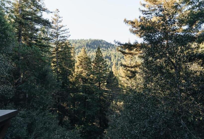 Redwoods River Resort & Campground