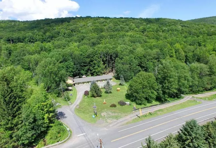 Starlite Motel & Suites