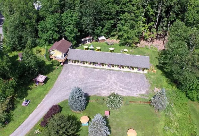 Starlite Motel & Suites