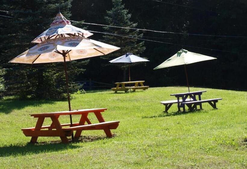 Starlite Motel & Suites