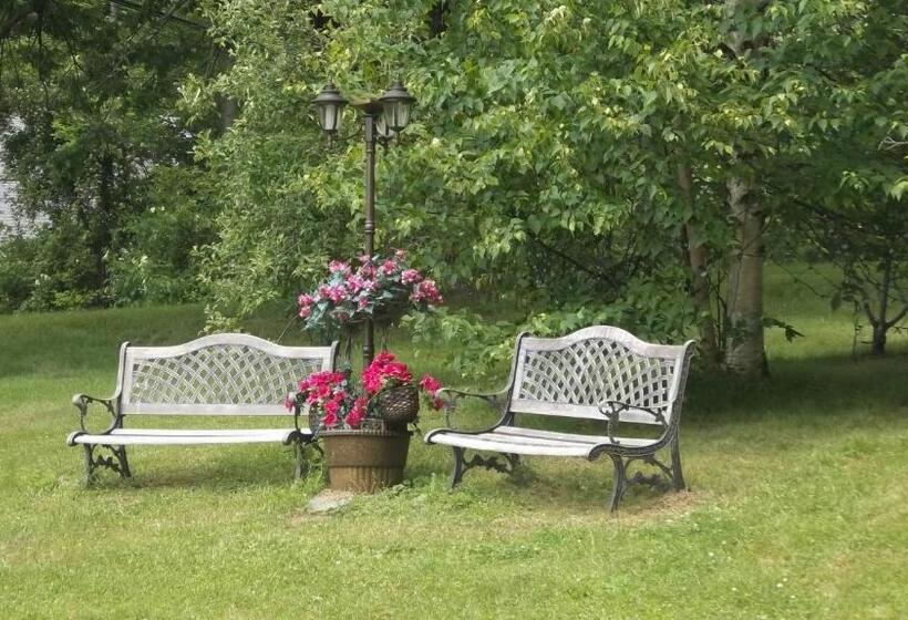 Starlite Motel & Suites