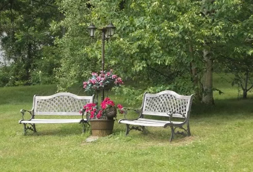 Starlite Motel & Suites