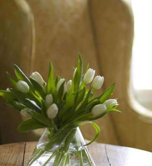 The Manor At Sway – Hotel, Restaurant And Gardens