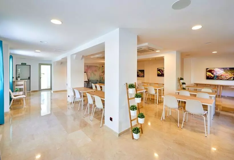 Mll Mediterranean Bay Hotel   Adults Only