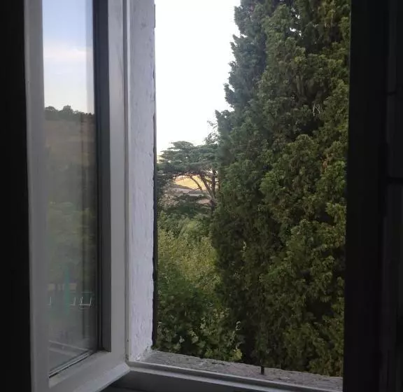 ベッドアンドブレックファースト Bbbagni