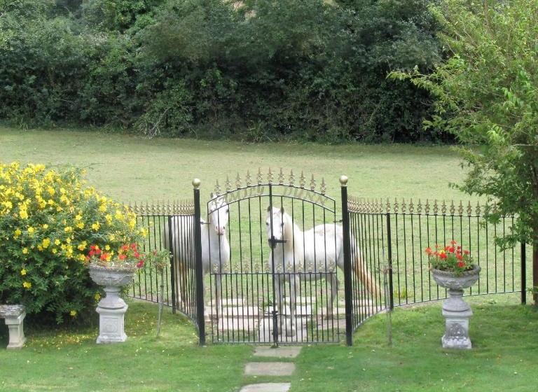 צימר Cherry Orchard House