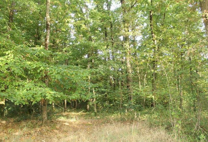 تختخواب و صبحانه Dormir Ailleurs