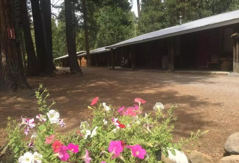 ベッドアンドブレックファースト Sierra Sky Lodge