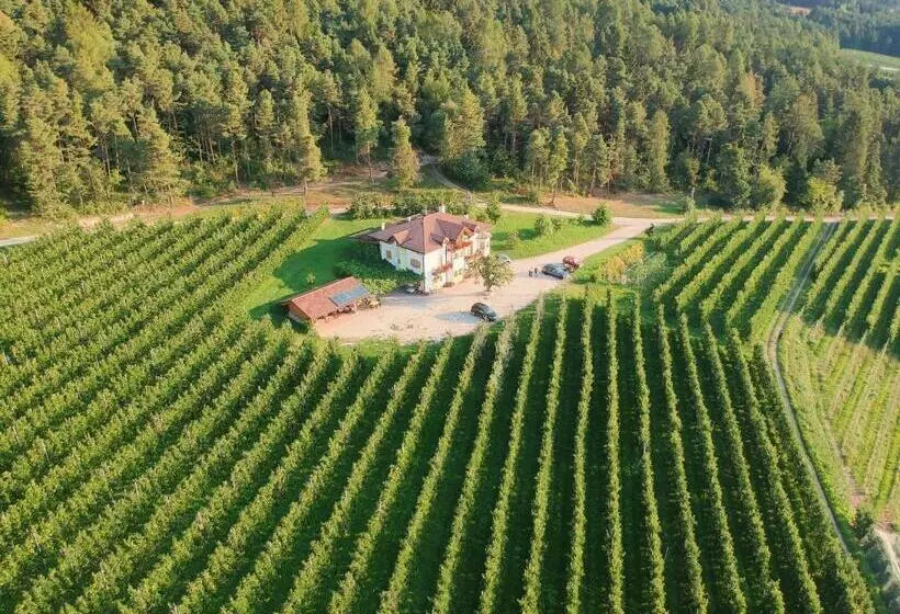 ホテル Agriturismo Maso Tafol