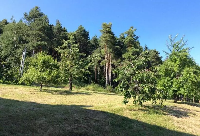 ホテル Agriturismo Maso Tafol