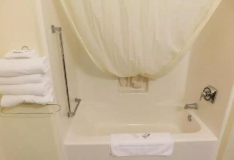 ホテル Amerivu Inn