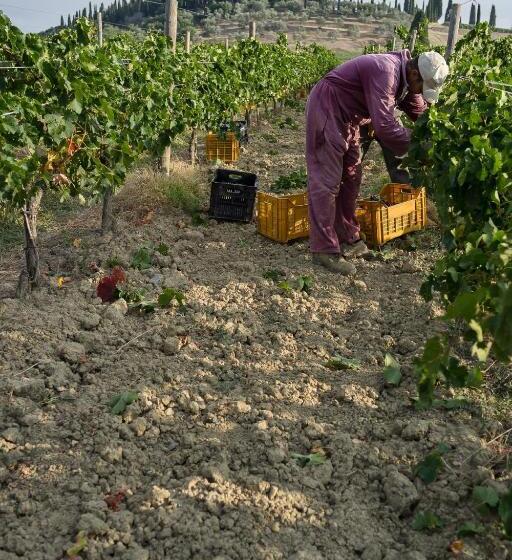 בית מלון כפרי Argiano Dimore Wine Relais