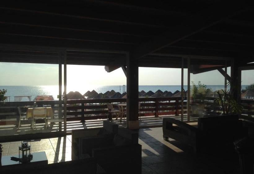 ペンション Beach Club Ippocampo