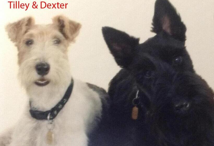 Пансион Finjaro