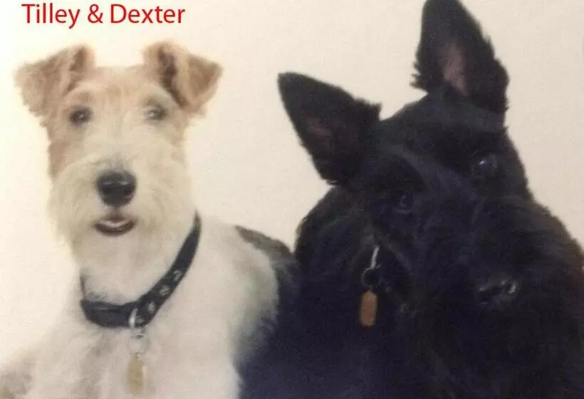 ペンション Finjaro