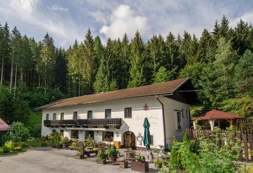Waldhotel Bad Jungbrunn