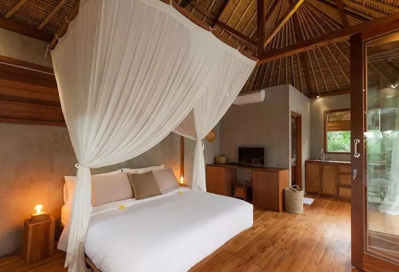 Aamiaismajoitus (B&B) Zin Berawa Villas & Bungalow