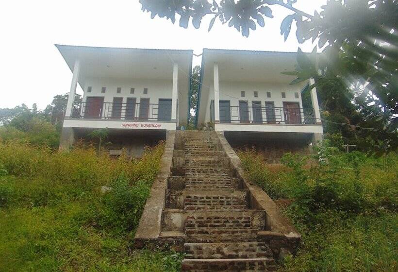 بنسيون Sima Homestay