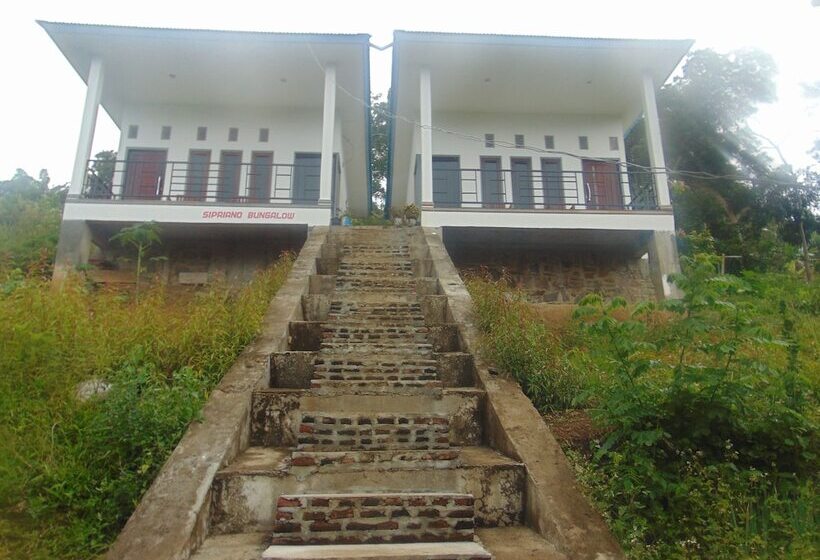 بنسيون Sima Homestay