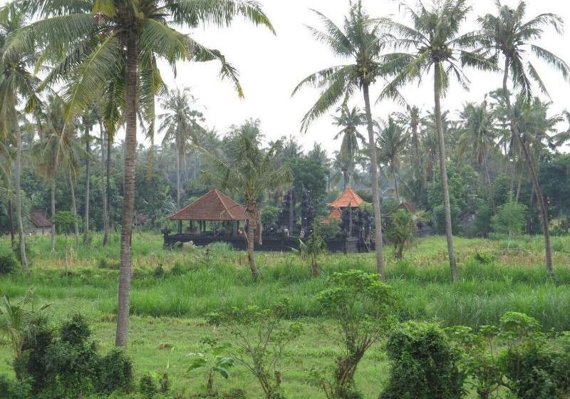 צימר Blue Royal Amed