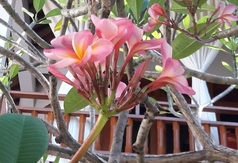 Majatalo Villa Marakuya