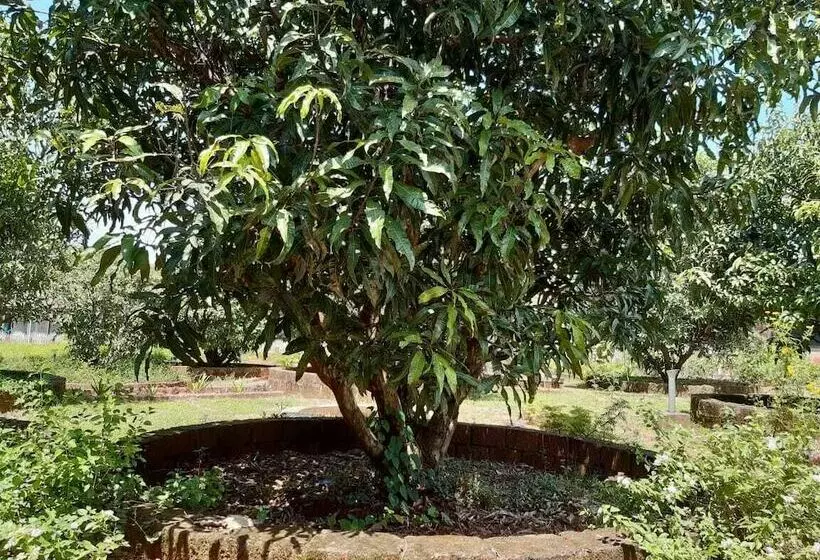 Aranya Kutir Resort   Hostel