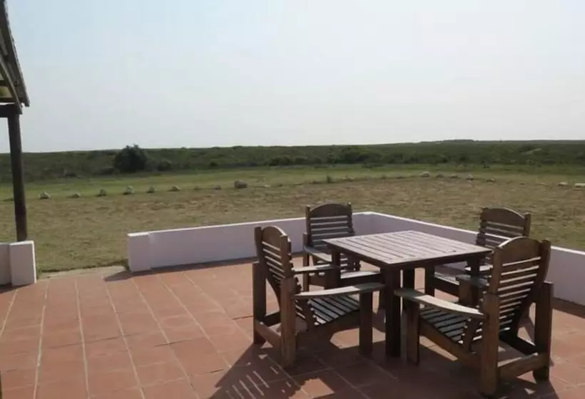 ホテル Koensrust Sea Farm  Campsite