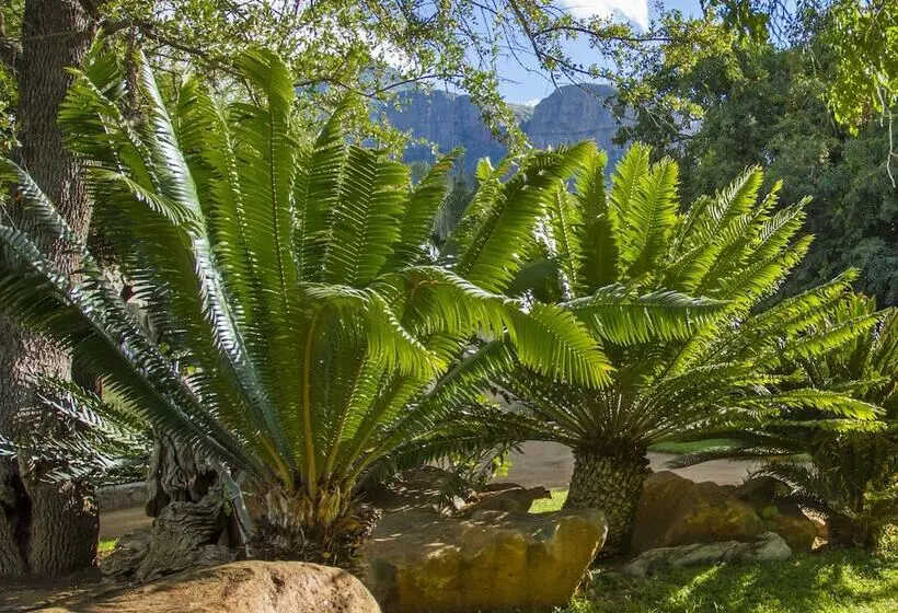 Hotelli Littlebush Private Lodge