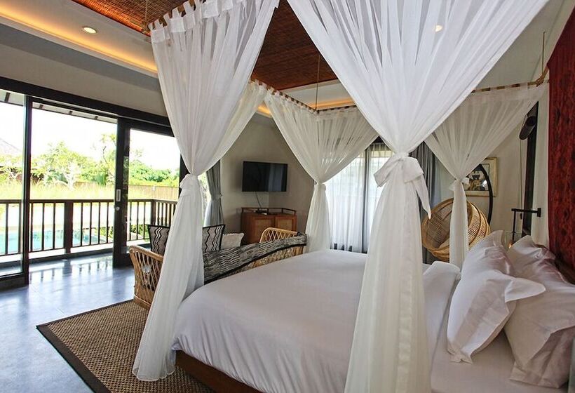 膳宿费 Elite Cassia