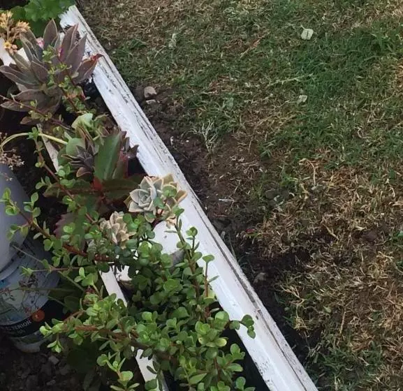 Aamiaismajoitus (B&B) 57 On Wellington Accommodation