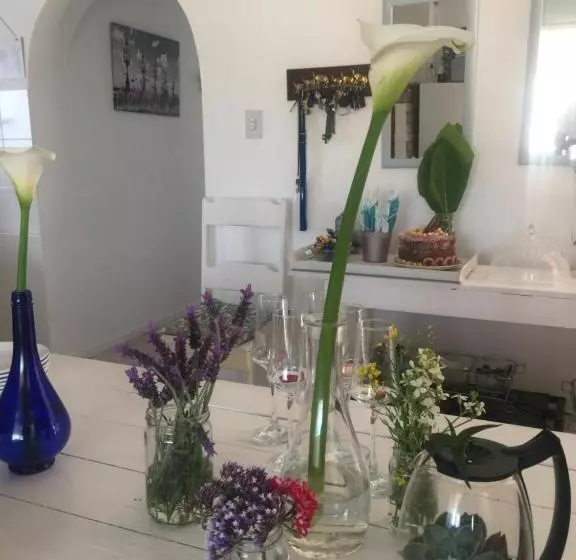 Aamiaismajoitus (B&B) 57 On Wellington Accommodation