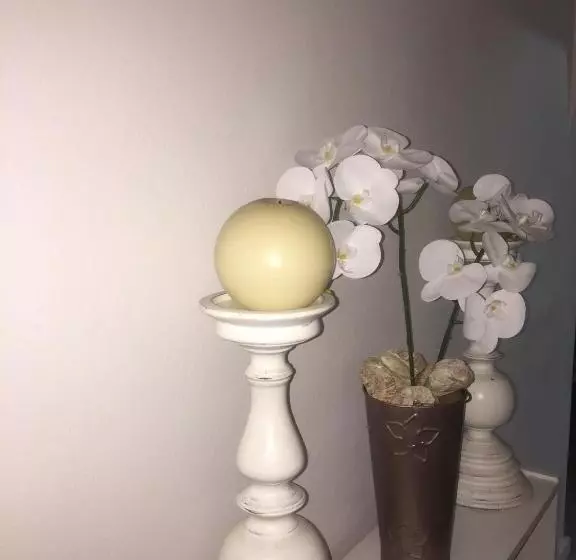 Aamiaismajoitus (B&B) 57 On Wellington Accommodation