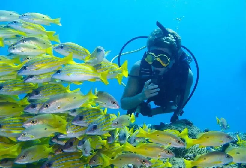 Hotelli Coral Divers