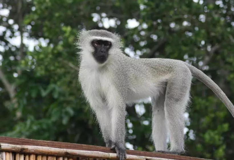 Hotelli Coral Divers