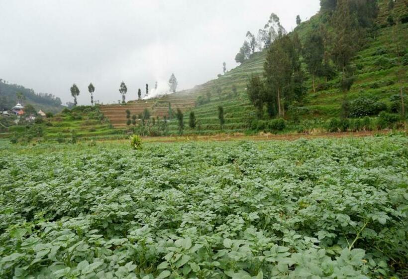 פנסיון Reddoorz @ Gerbang Dieng Plateau Area