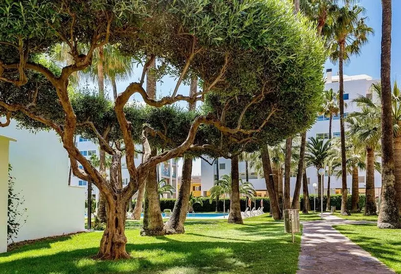 Apartamentos Tamarindos Peñiscola